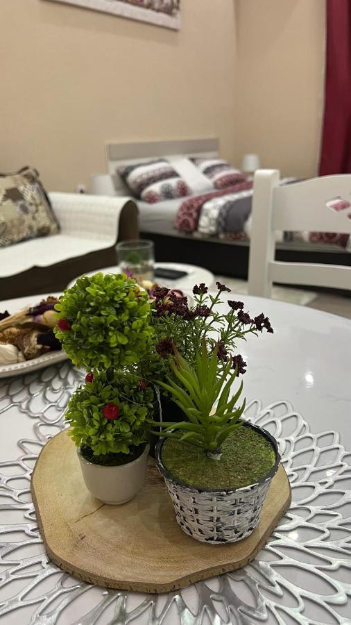 פודגוריצה Apartment Downtown מראה חיצוני תמונה