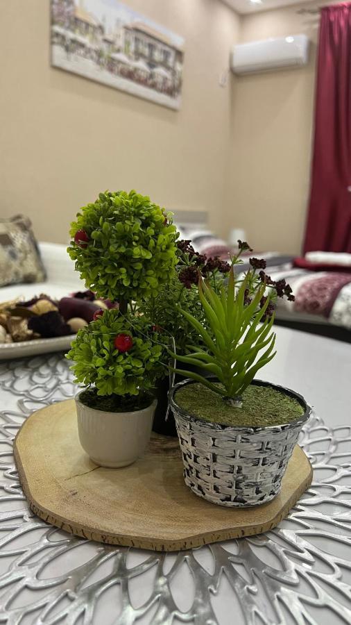 פודגוריצה Apartment Downtown מראה חיצוני תמונה