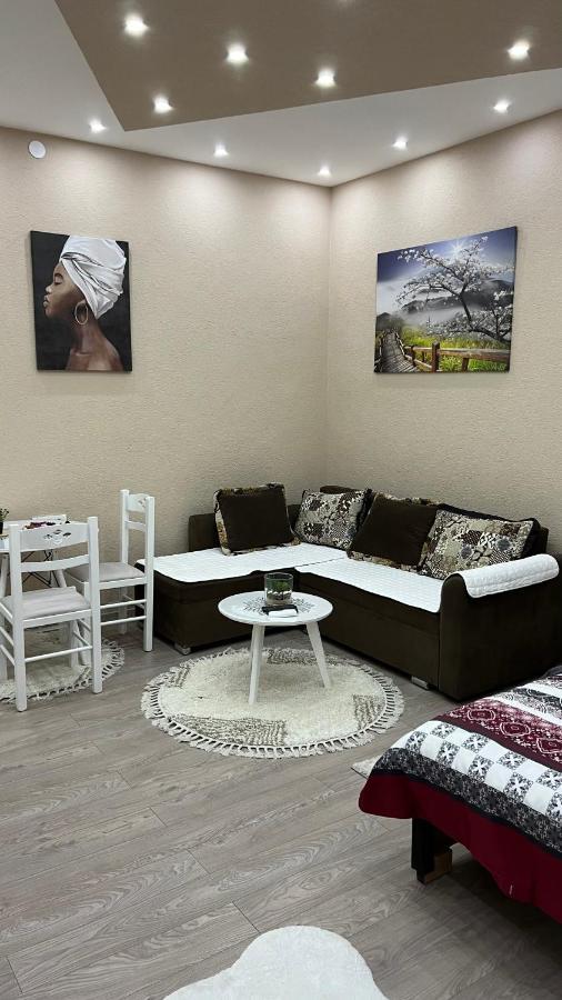 פודגוריצה Apartment Downtown מראה חיצוני תמונה