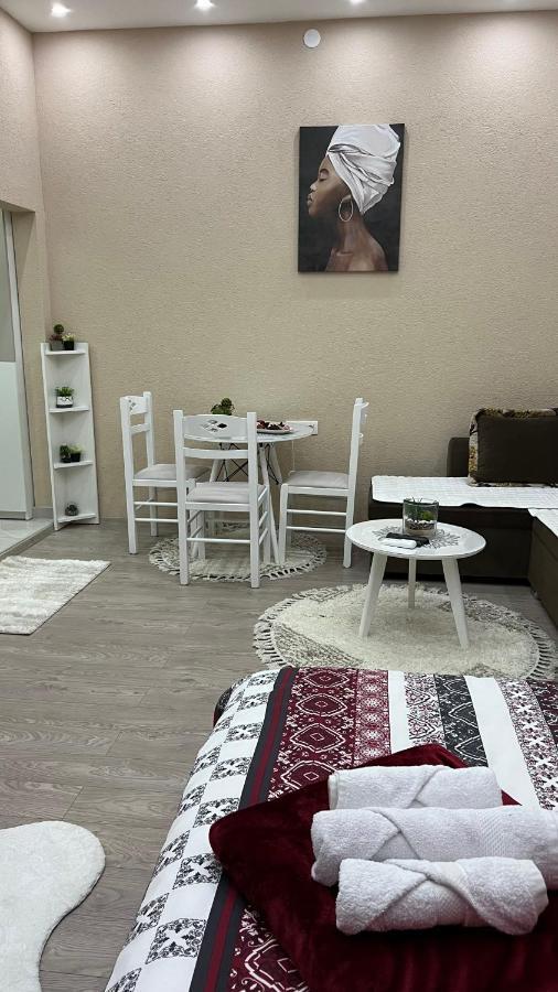 פודגוריצה Apartment Downtown מראה חיצוני תמונה