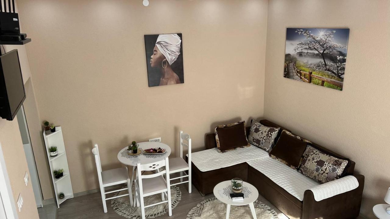 פודגוריצה Apartment Downtown מראה חיצוני תמונה